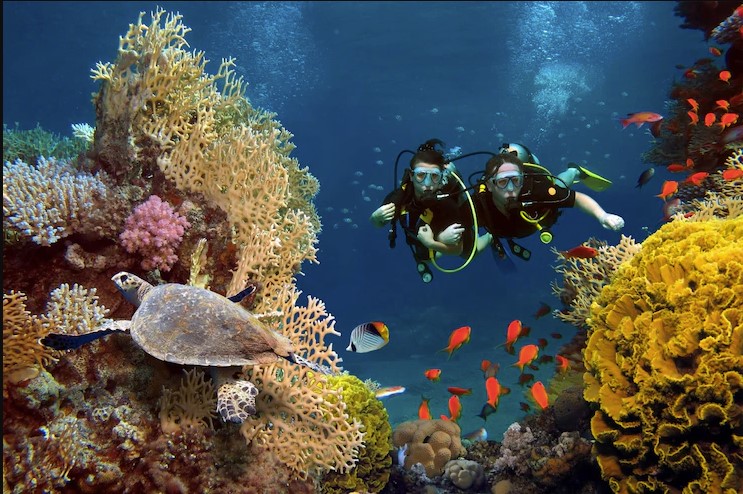 Scuba Diving in Turkey